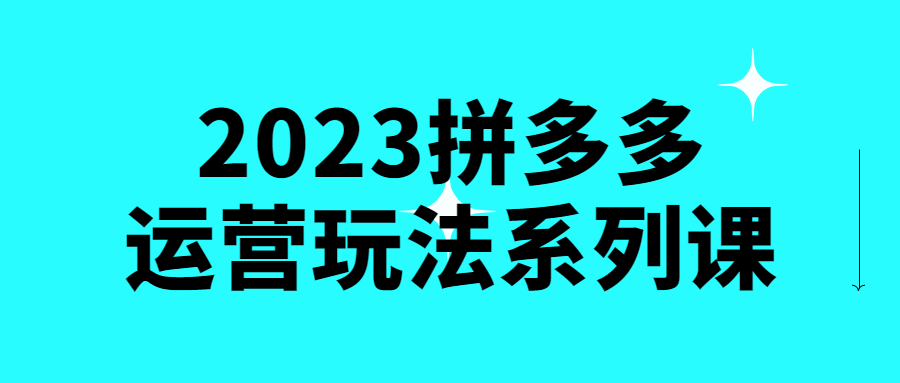 2023拼多多运营玩法系列课百度云夸克下载