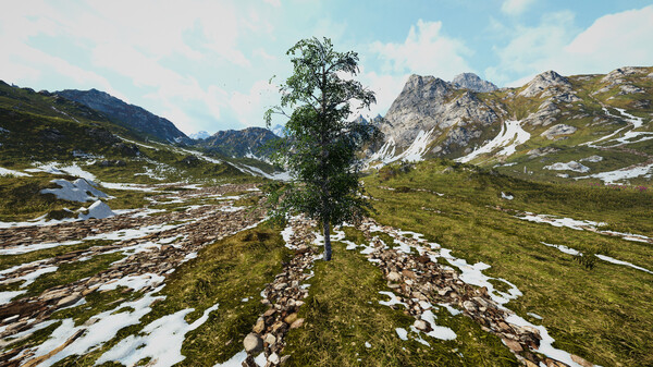 《桦树模拟器 Birch Simulator》英文版百度云迅雷下载